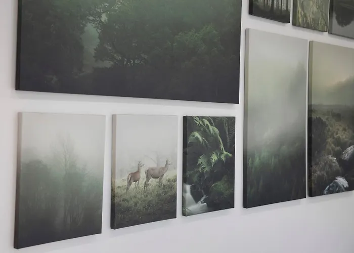 Global - Ay Homes * Augsburg